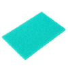 Scouring Pad