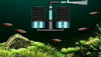 Aquarium & Aquaculture 
